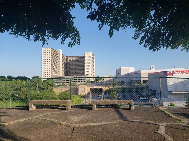20220723_172256.jpg