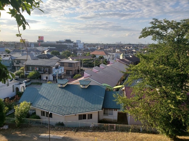 20220723_172325.jpg